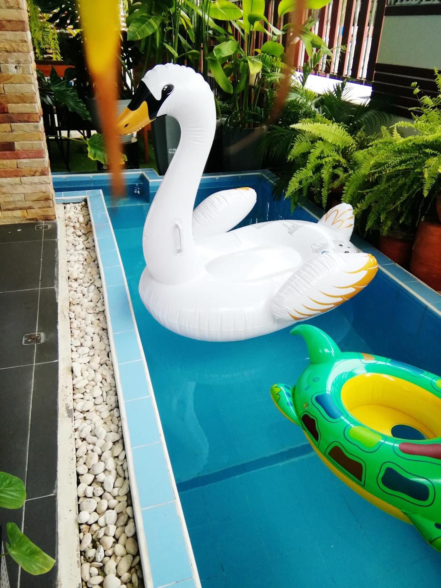 バンチャン ウィルダネス ベッド アンド ブレックファースト Bed & Breakfast 部屋 写真